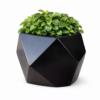 Premium Fiberglass Planter Collection