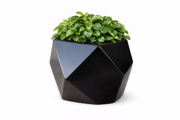 Premium Fiberglass Planter Collection